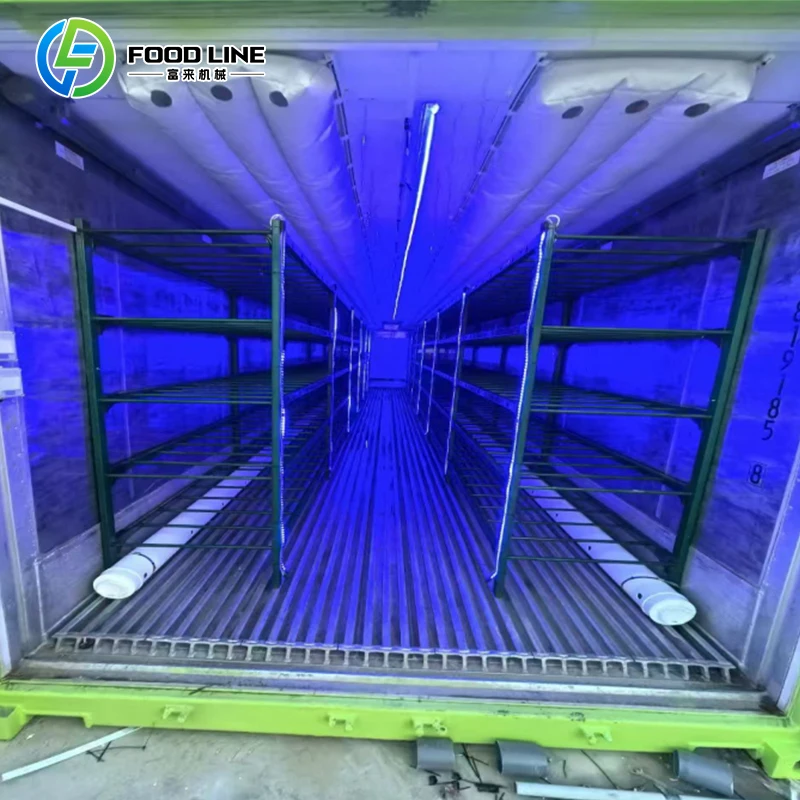 Customized Turnkey Mushroom Farming Container  High Yield Mushroom Cultivation Container System Mushroom Growing Container