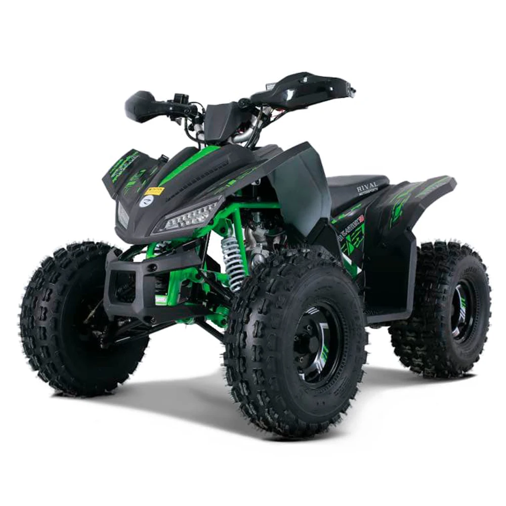 Tao Motor 125cc ATV 125cc Automatic for Kids 12V 5AH Front Drum Brake Chain DRIVE Rear Disc Brake Atv 125 150cc Atv Gas / Diesel