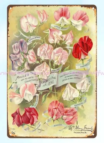 House Decor Interio…