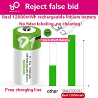 D1 D SIZE 1.5V 12000mWh Rechargeable Battery LR20 USB Charging Li-ion Batteries for Natural Gas, Gas Stove Domestic Water Heater