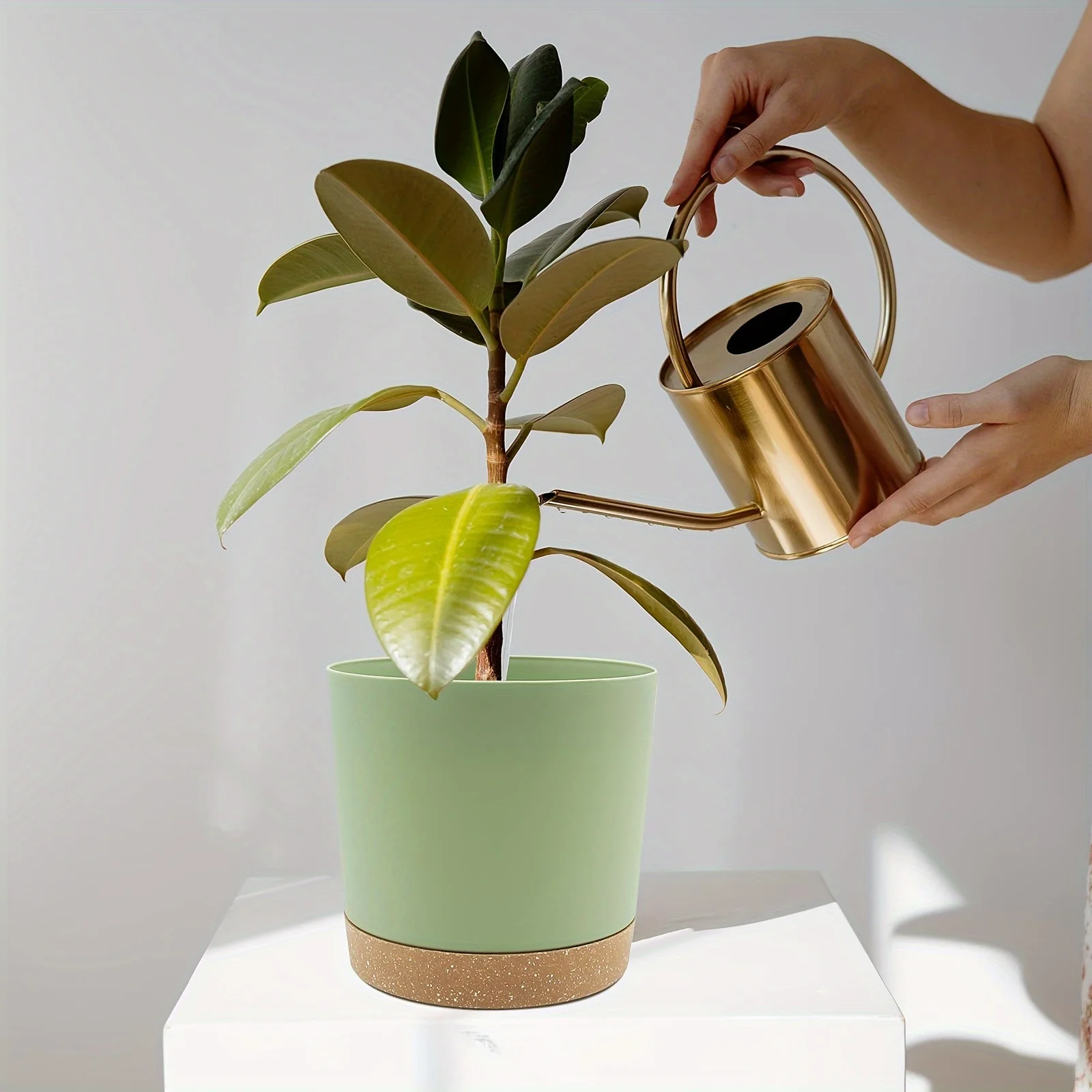 2 Stück 6,5-Zoll-Blumentöpfe mit abnehmbarem Boden, runder Blumentopf mit abnehmbarem Boden, für den Außenbereich, Garten, Heimbedarf – Detail 4
