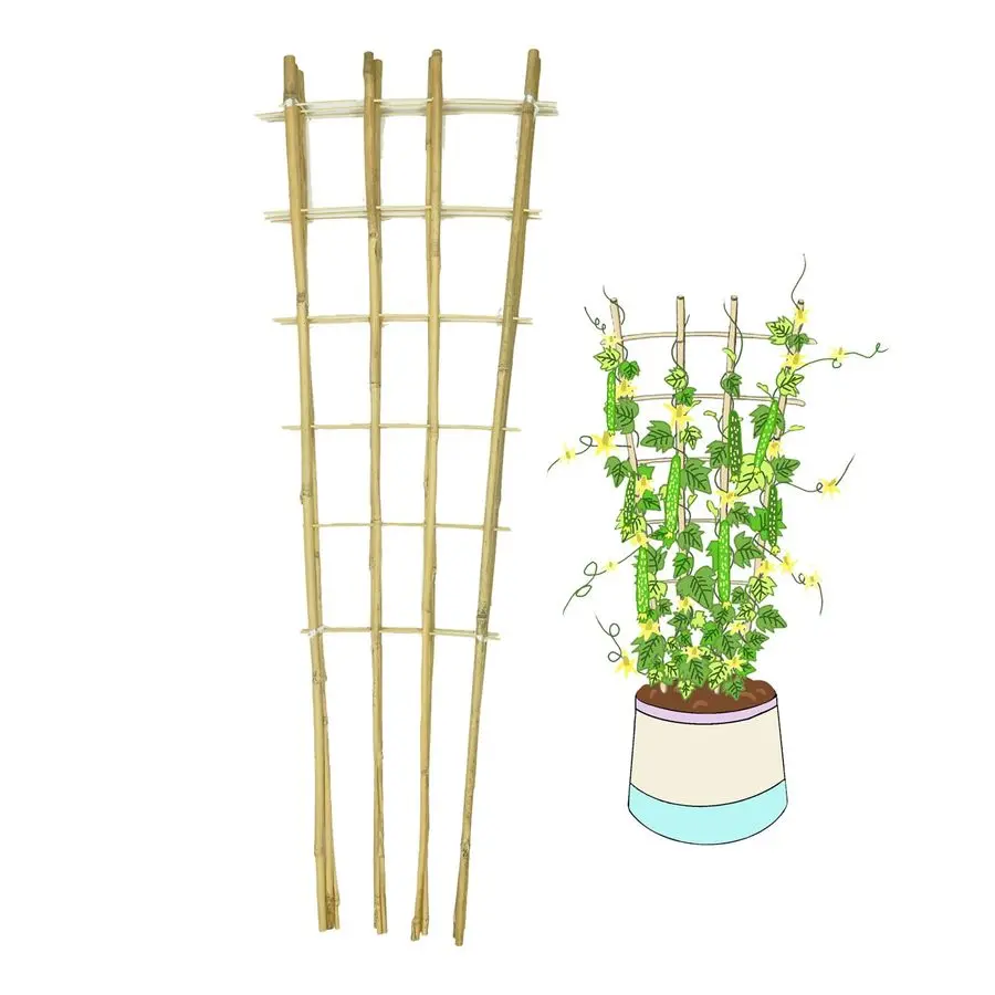 

Bamboo Trellis, 4Feet,3Pack,FanShaped Plant Support Trellis for Outdoor and Indoor Potted Climbing Plants,Vegetables, Cucumber,