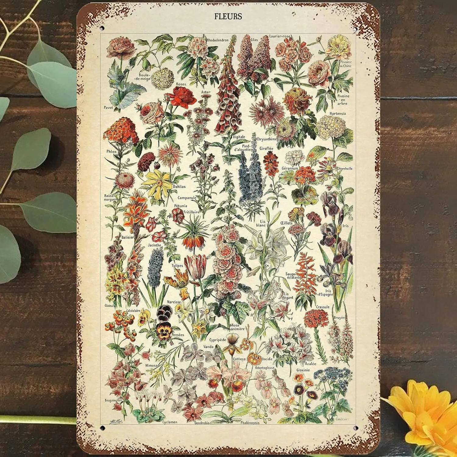 Garden Flowers Plants Identification Reference Chart Diagram Poster Tin Sign Wall Decor Funny Retro Bar Coffee Club Pub G