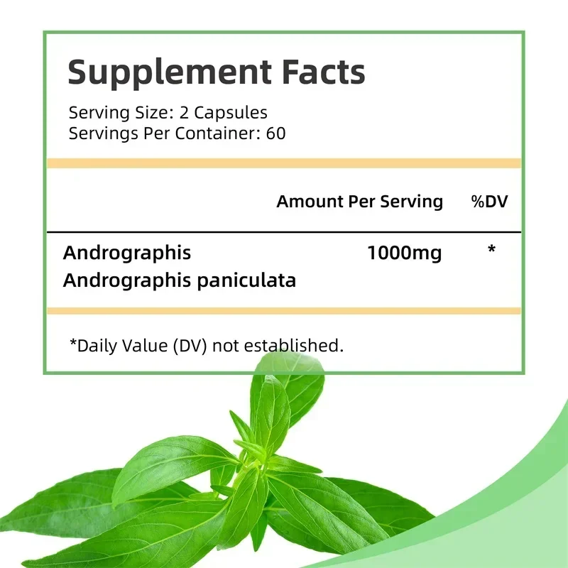 Andrographis - Kidney Health, Supports Detoxification and Cleansing, Joint Supplements