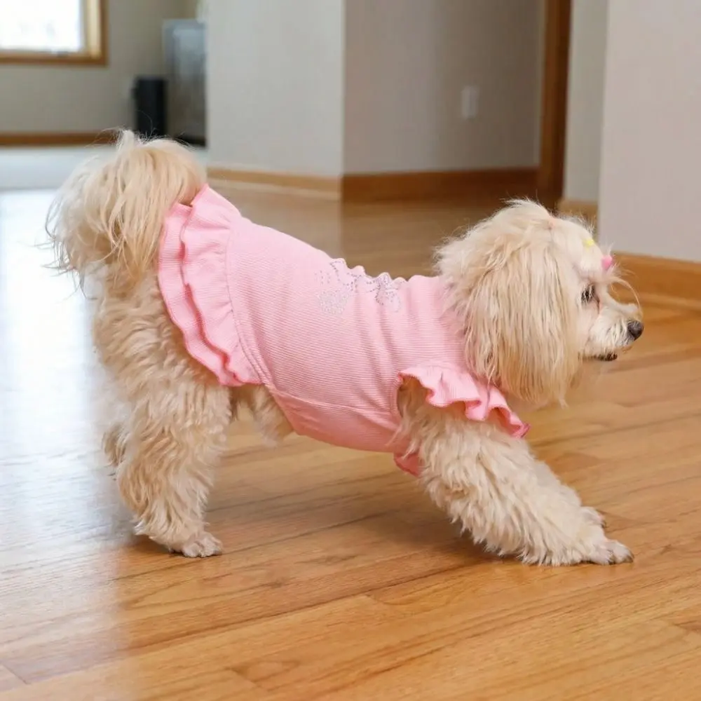 

Lotus Leaf Edge Pet Base Dress Soft Comfortable Lover Pattern Pet Princess Dresses Solid Color Dog Skirt Shirts Party
