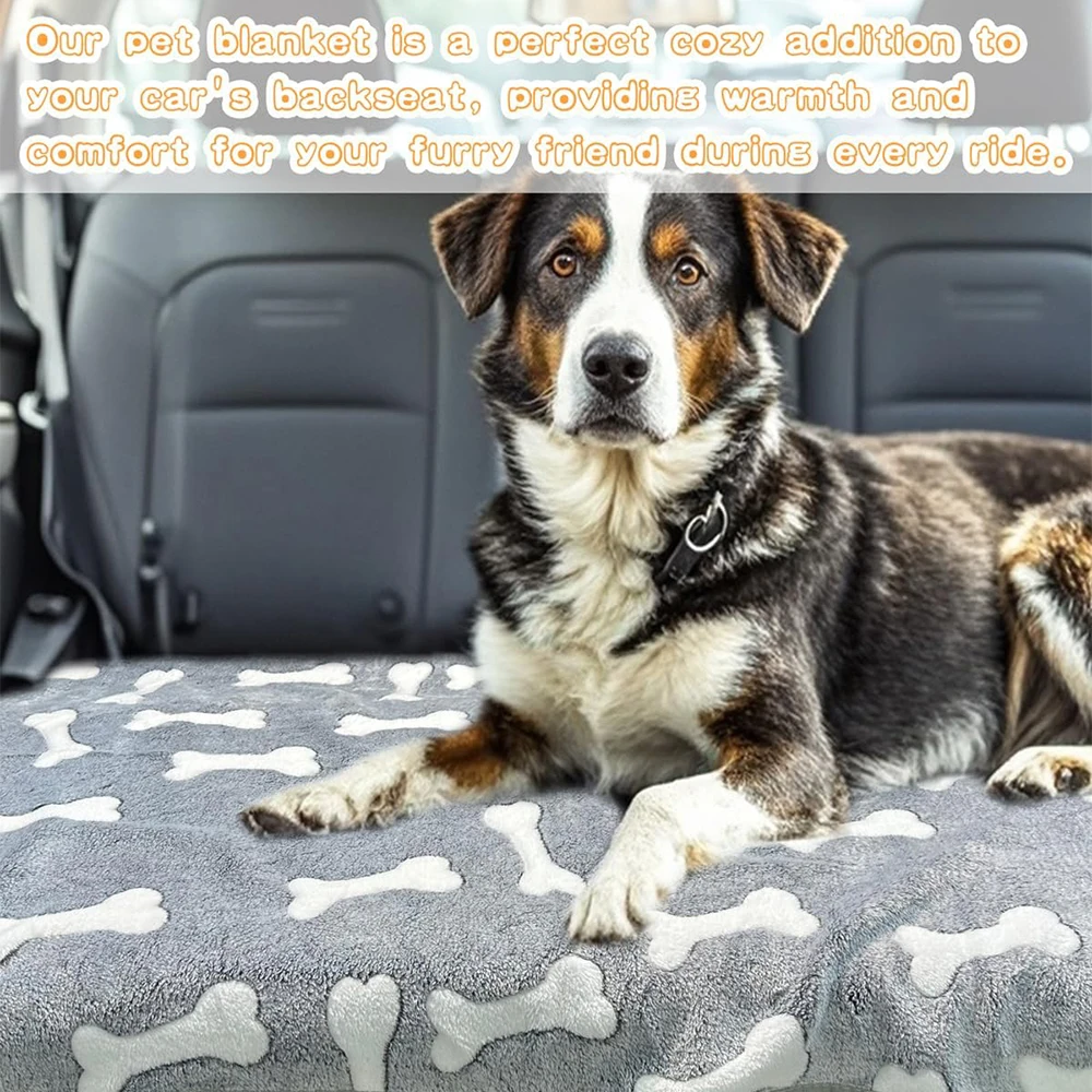 لينة رقيق جودة عالية طباعة بطانية حيوانات أليفة T لطيف العظام نموذج طباعة بطانية الحيوانات الأليفة حصيرة بطانية دافئة ومريحة للكلاب القط