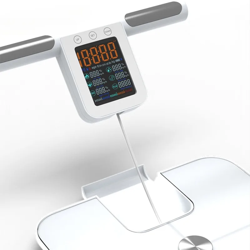 

2024 New Product Use High Precision Sensor Professional Measurement Body Fat Scale