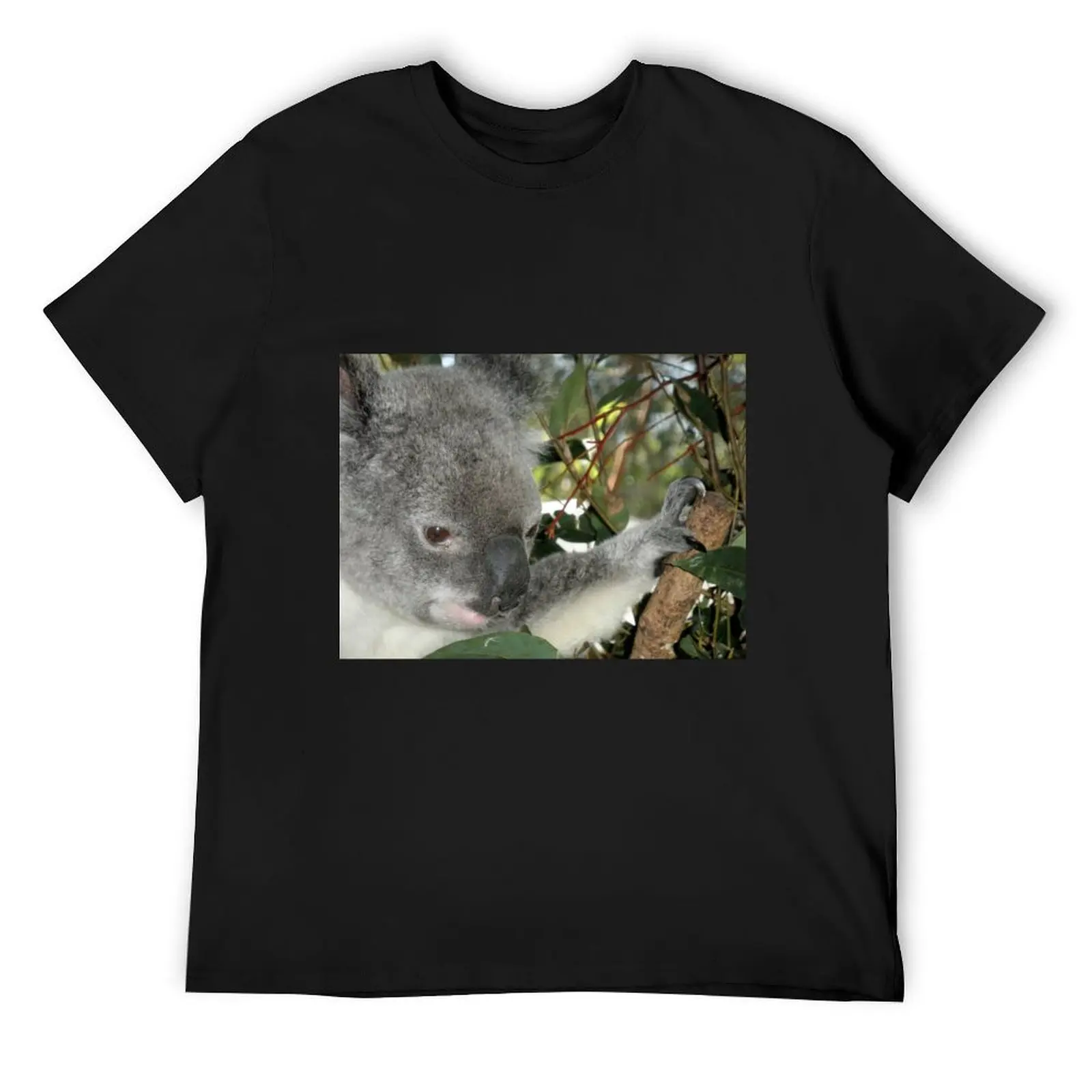 

Young Koala, Australia Zoo, Queensland, Australia. T-Shirt baggy shirts sweat kawaii clothes cotton t shirt men