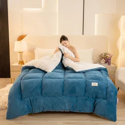 Autumn and winter new double-sided milk wool lamb wool warm and thickened winter quilt spring and autumn quilt core quilt