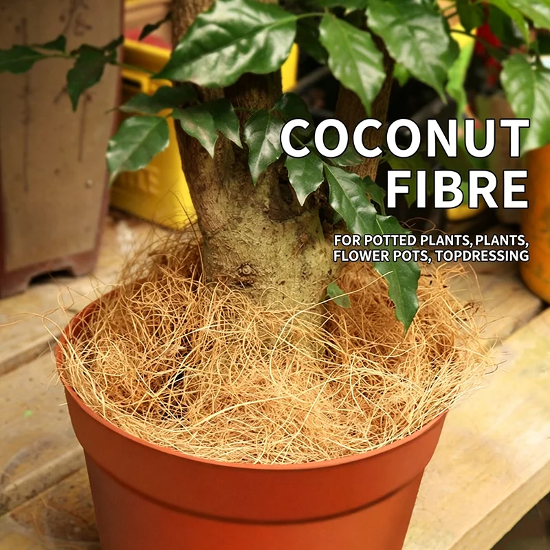 50g/100g Natural Organic Coconut Husk Silk Long Coconut Husk Fiber for Plants Pot Cover Soil Keep Warm Reptile Bedding Bird Nest