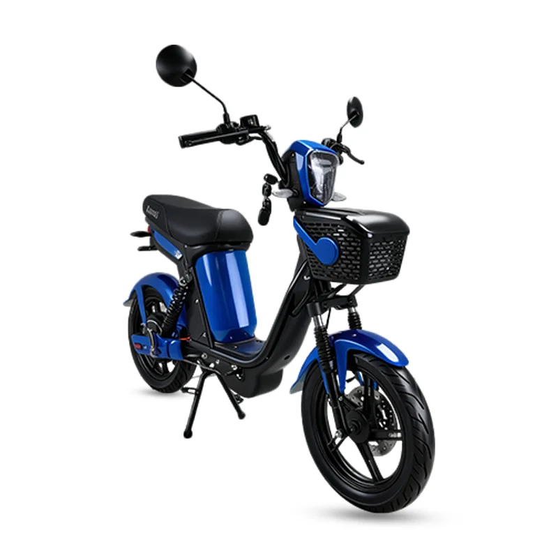 Adult Version Electric Bicycle 1200W 45km/h Electric Motorcycle