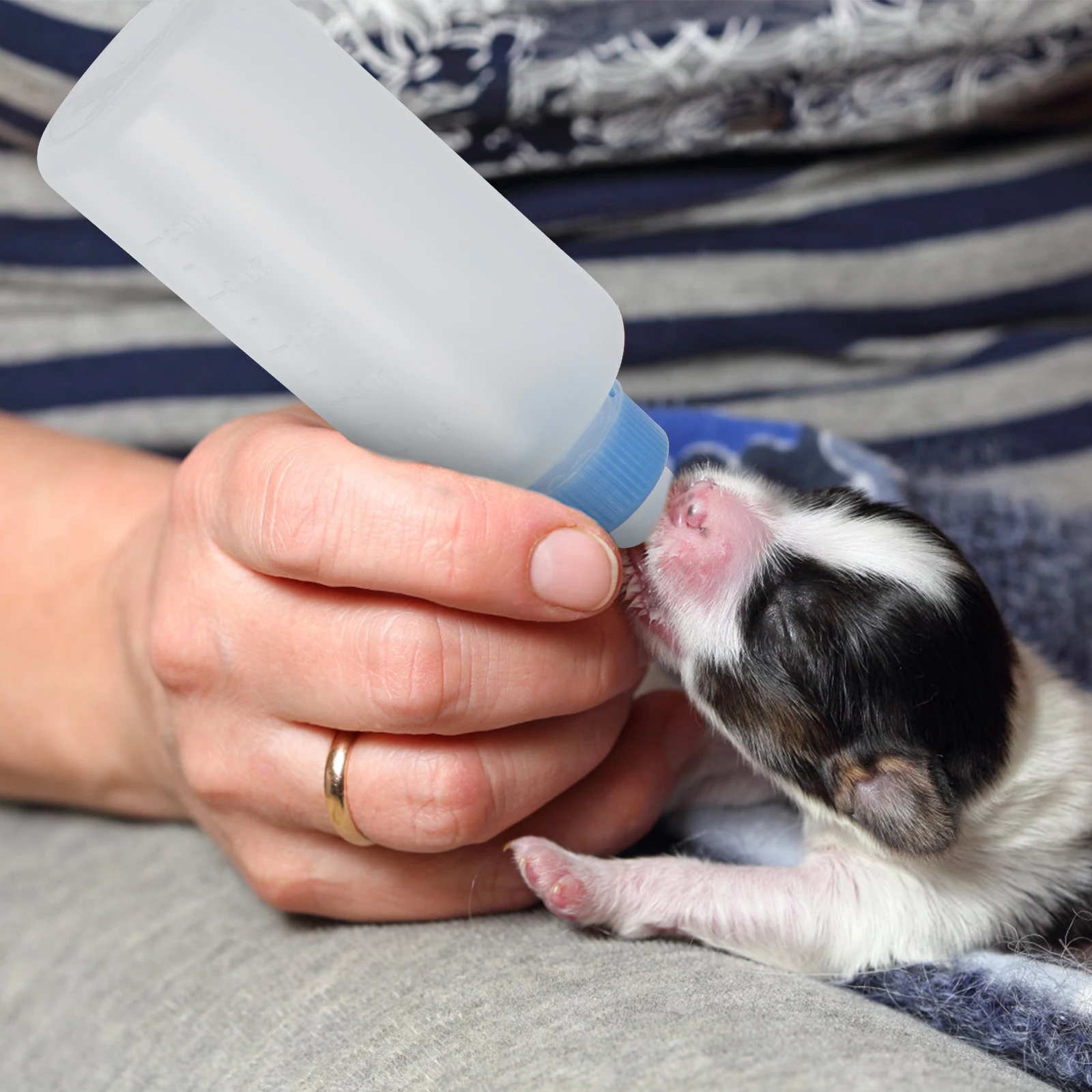 

3 Pcs Milk Replacement Cat Feeding Bottle Dog Birthing Supplies Kitten Silica Gel Baby