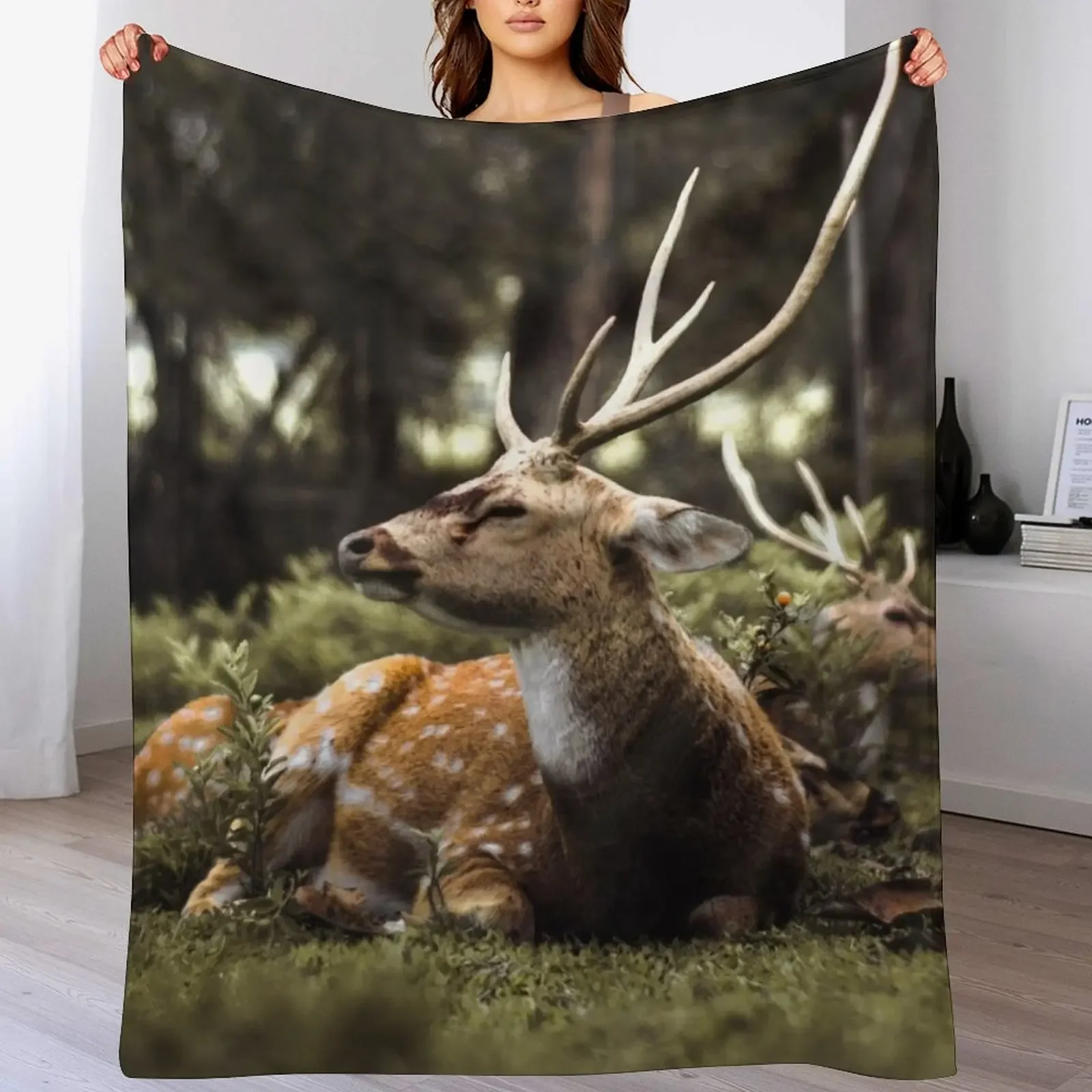 deer in the forest Throw Blanket Reusable Durable Soft Blanket for All Seasons