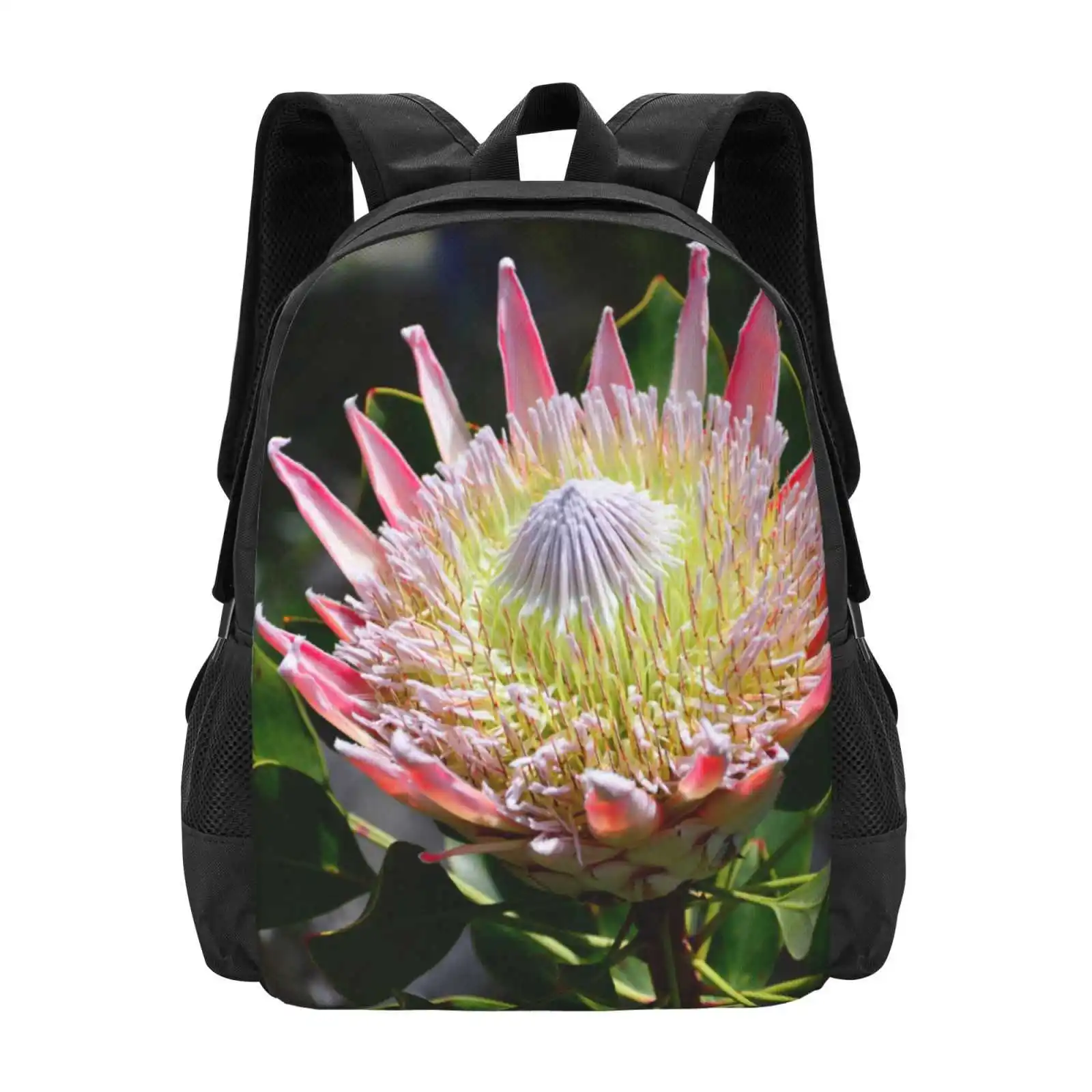 King Protea Hot Sale Schoolbag Backpack Fashion Bags Flower Yard Spring Nature Plants Colors