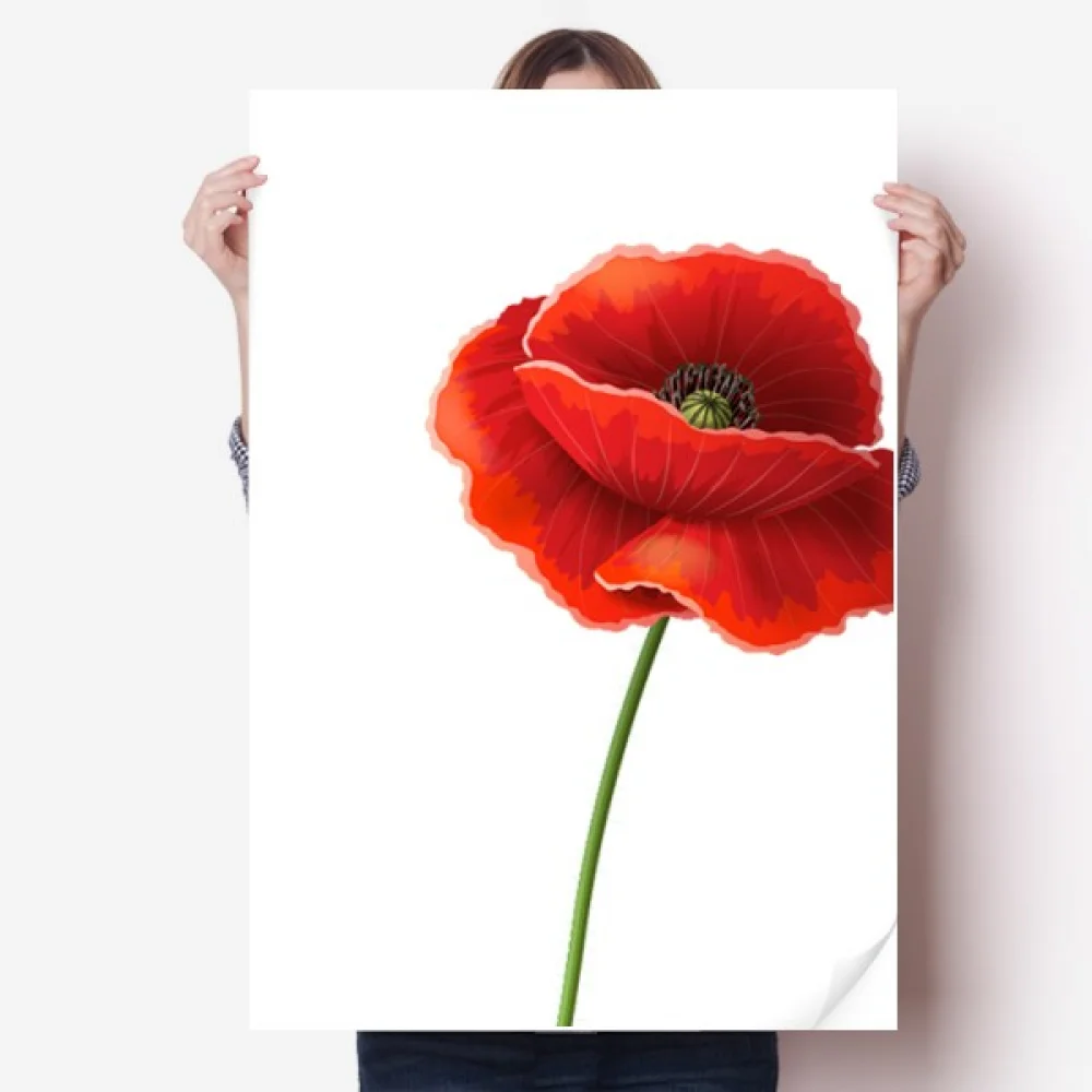 

red flower art painting corn sticker decoration poster playbill wallpaper window decal