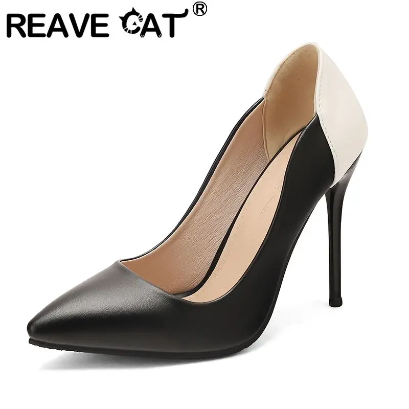REAVE CAT Brown Female Pumps Pointed Toe 10.5cm Stiletto Heel Mixed Color Slip On Large Size 47 48 49 50 Sexy Dating Party Shoes