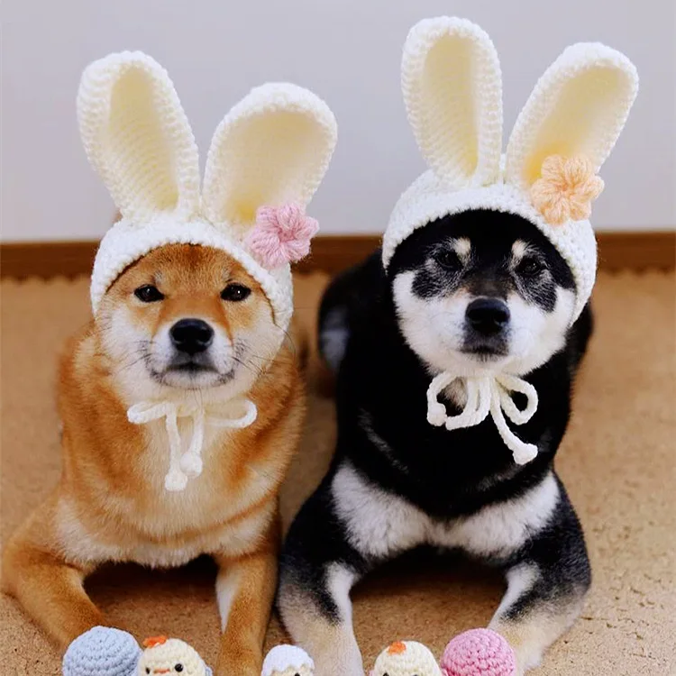 2022 Hot Sale Hand Hook Cute Little White Rabbit Ear Husky Akita Zhongda Pet Dog Cat Dress Hat