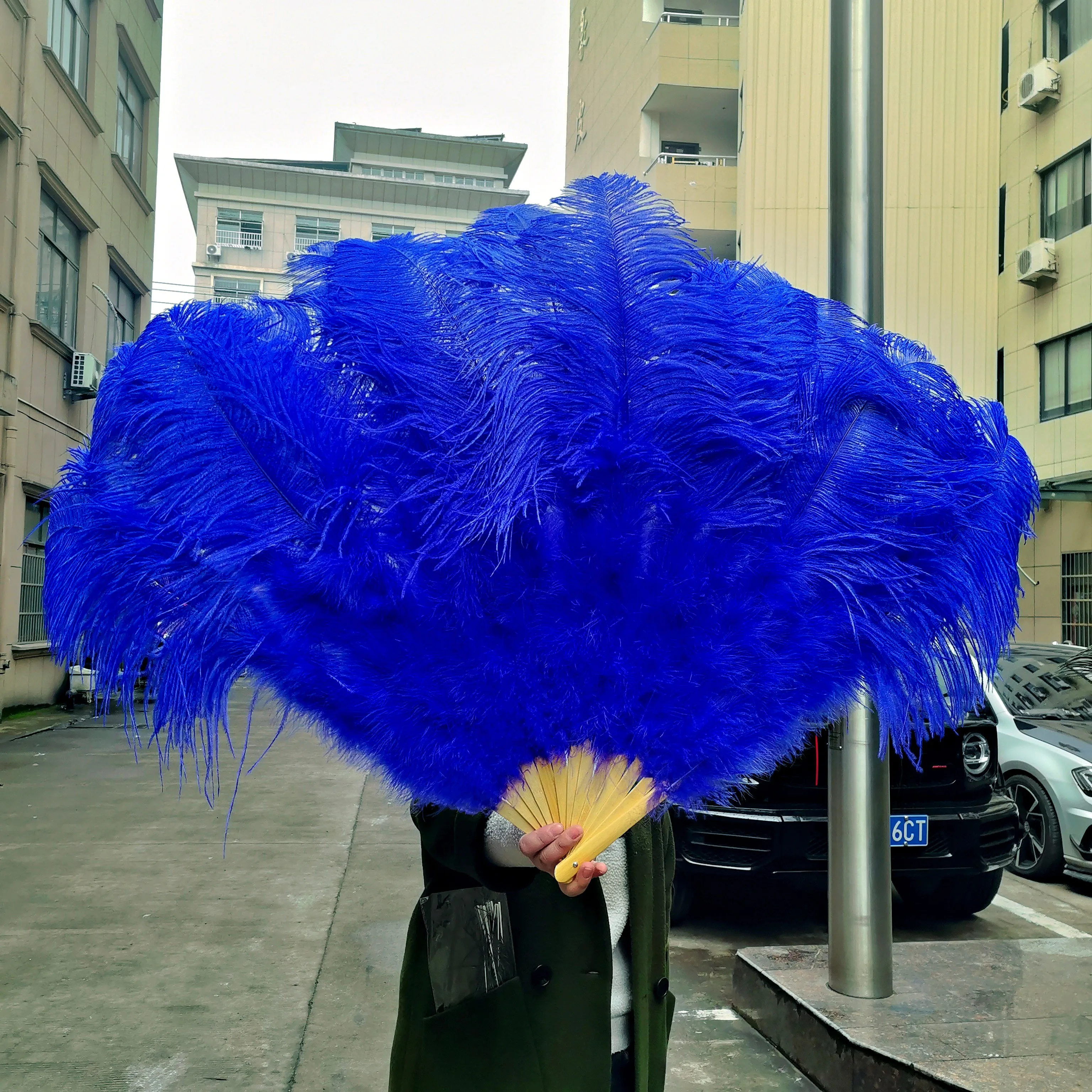 10PC Natural Ostrich Feathers Fans Handheld Wholesale Customizable for Wedding Carnival Belly Dance Magic Show Stage Props Decor