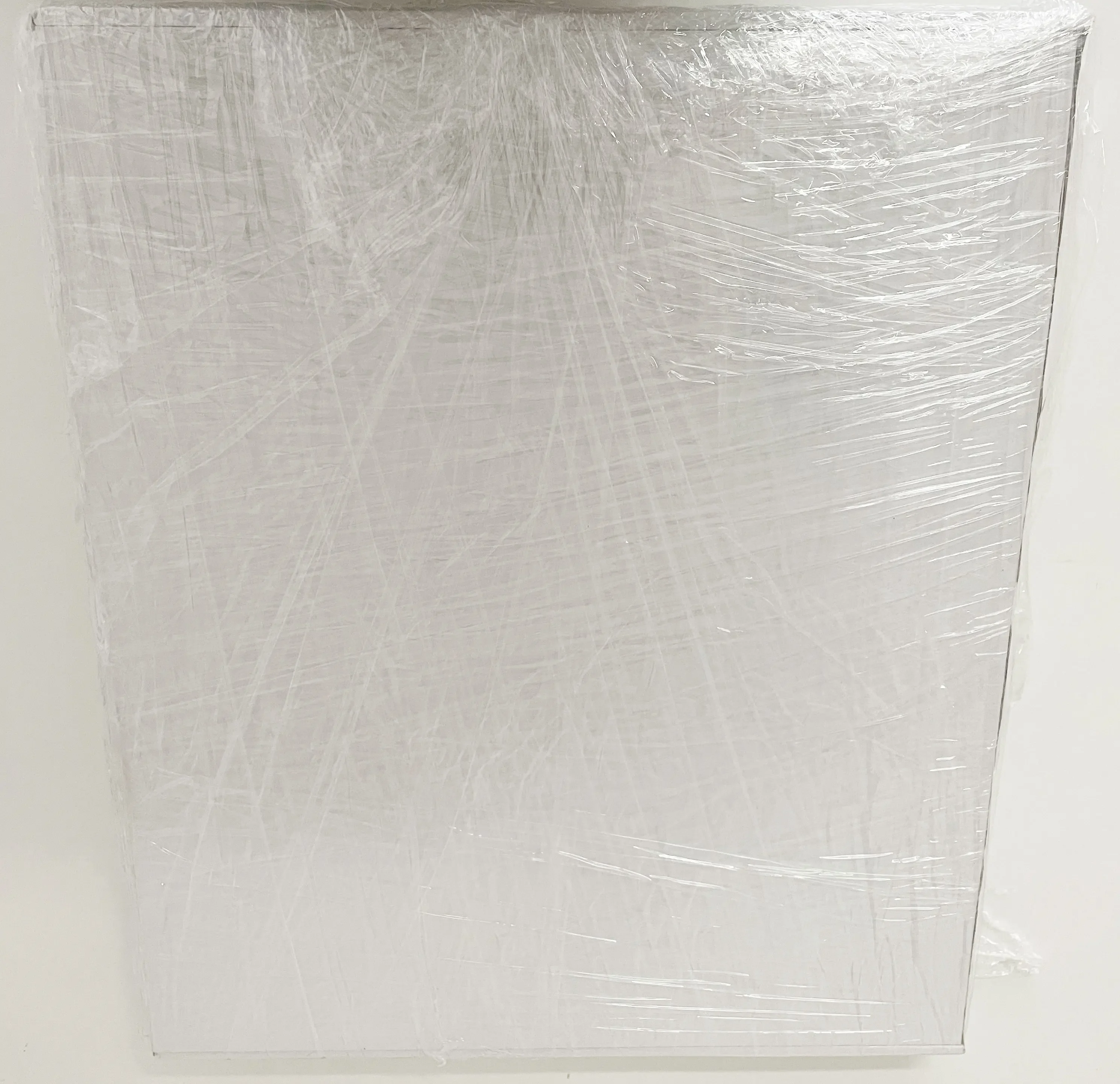 

Protective case for flat panel detector of veterinary X-ray machine
