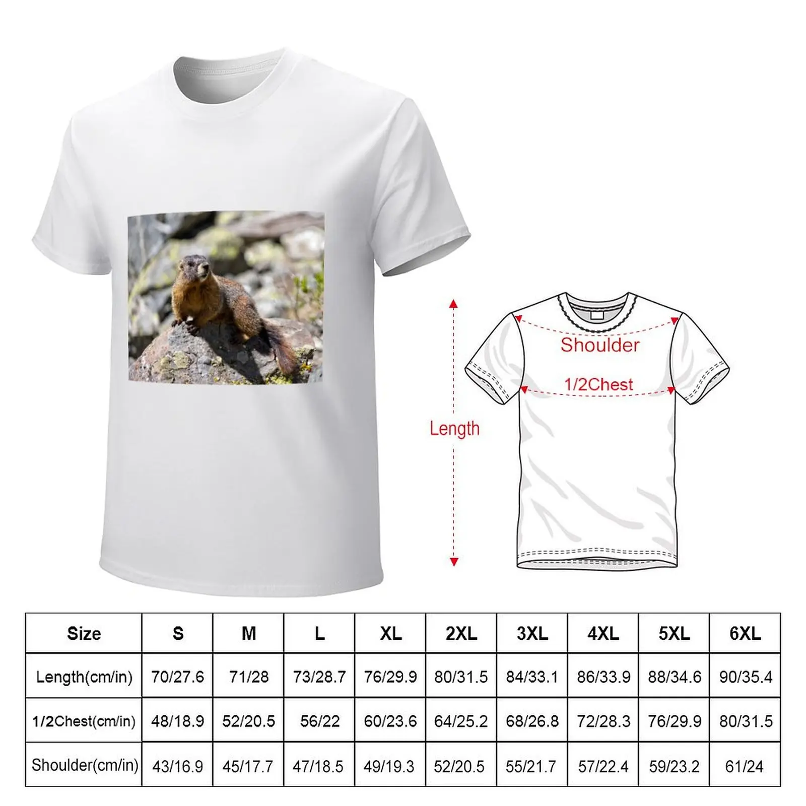 Marmot T-Shirt korean fashion customs design your own plain t shirts men