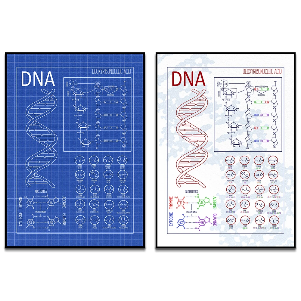 DNA Patent Wall Art Genetics Poster Printed Biology Wall Decor Vintage Blueprint Printed Medical Student Gift Science Ornament