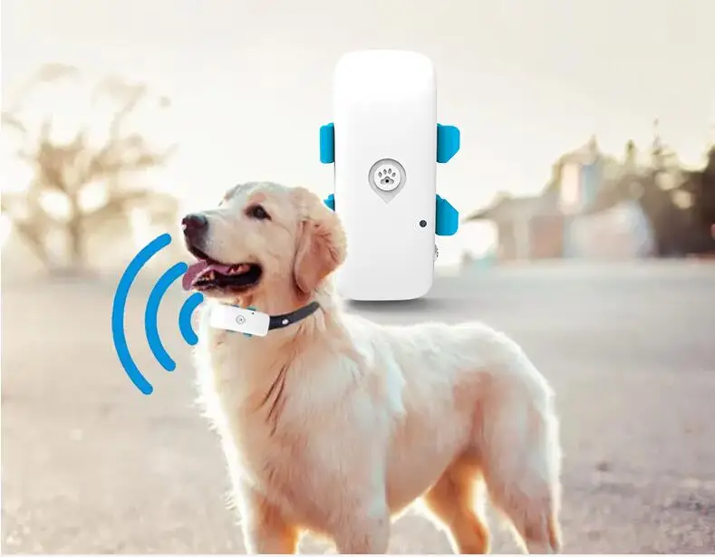 Localizzatore GPS per animali domestici 4G Monitoraggio in tempo reale Localizzatore di animali per cani Gatti TKSTAR LTE Localizzatore GPS GSM Crawler Geo-recinza APP gratuita