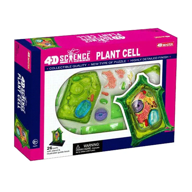 

Aaa Biological plant cell organ anatomy medical teaching model