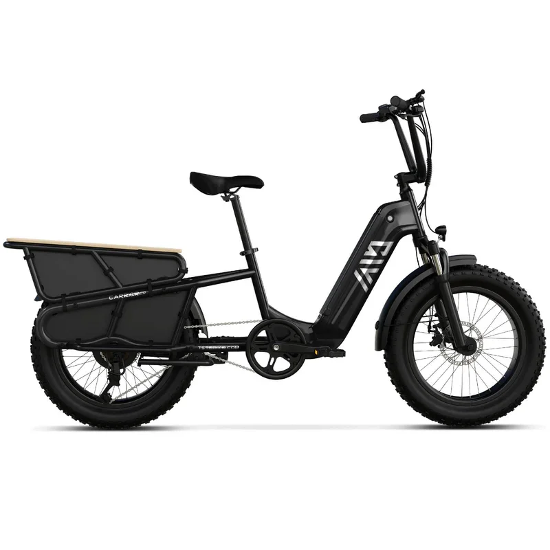 EU/UK Stock V8 Family Cargo E-Bike 20