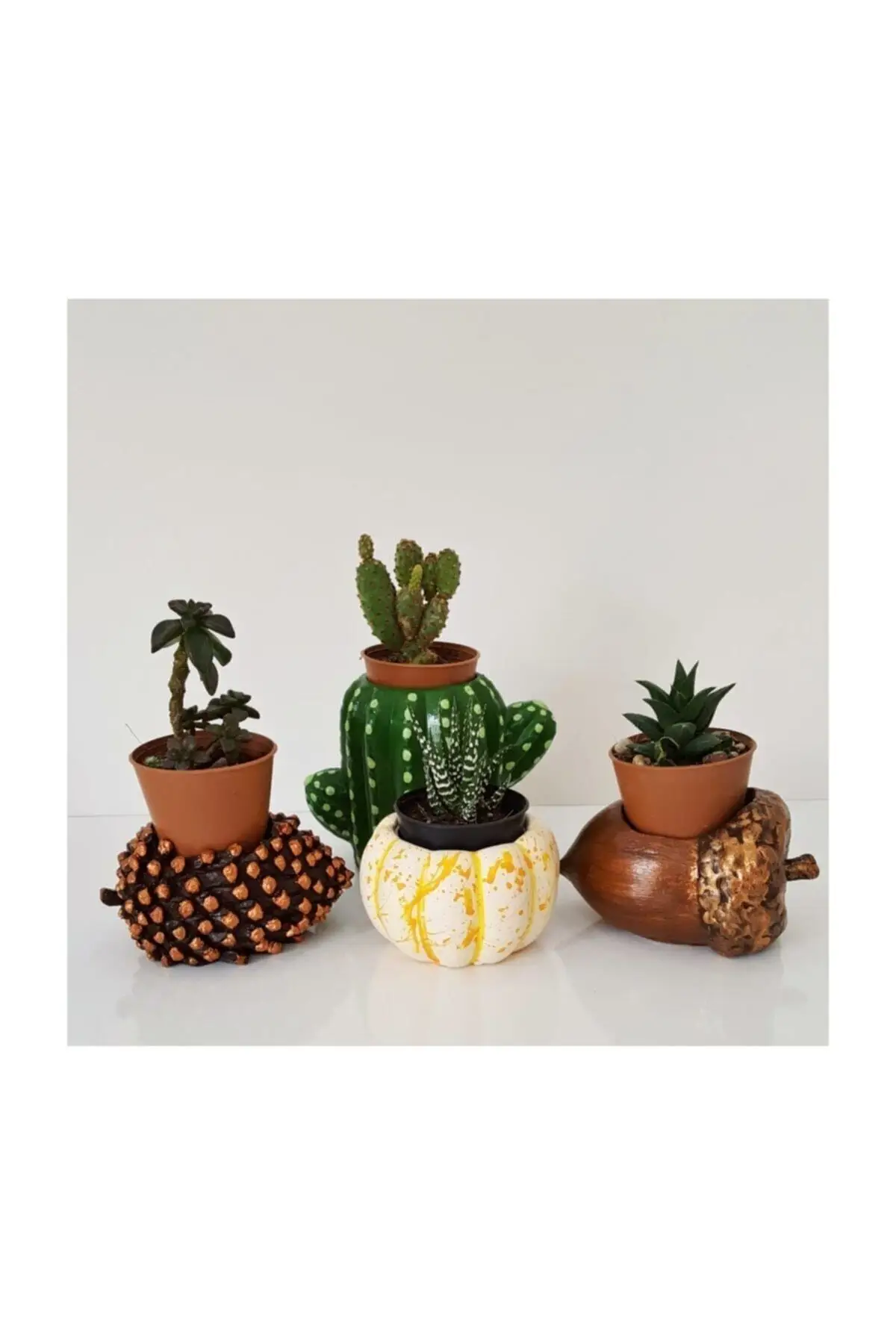 

Evrenos Custom Handmade 4'lü Set Nut + Cones + Cactus + Pumpkin Design Saksılar