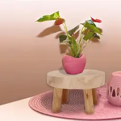 Soporte de madera para maceta de jardín, Base para maceta, taburete para jardinería, decoración Interior, sala de estar