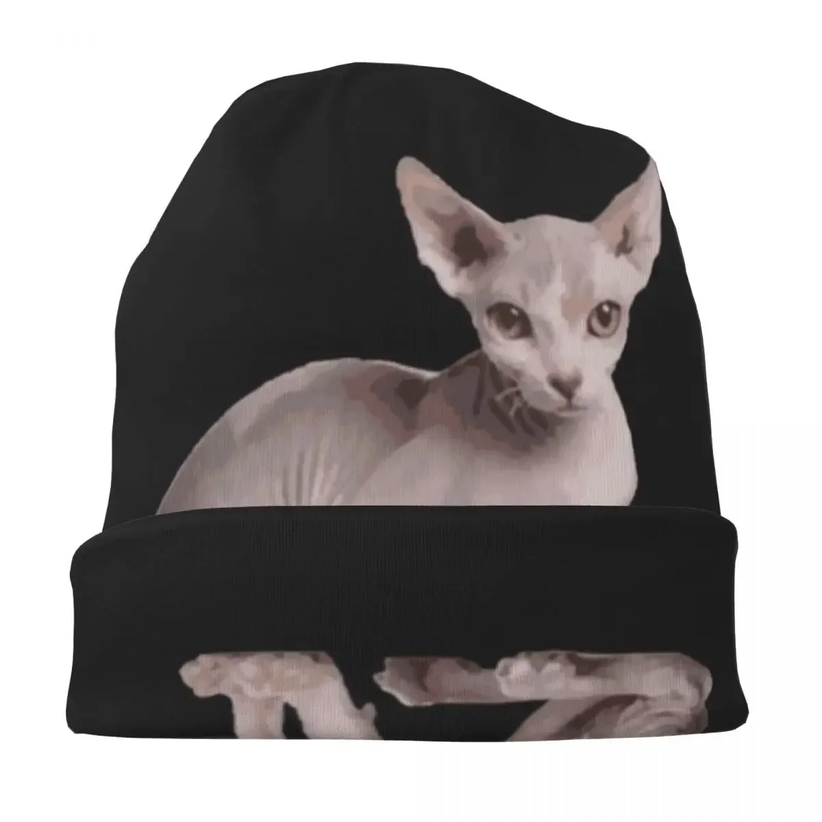 Sphynx Cat Picture Window Loving Bonnet Hat Autumn Winter Street Skullies Beanies Hat for Men Women Knit Hat Spring Dual-use Cap