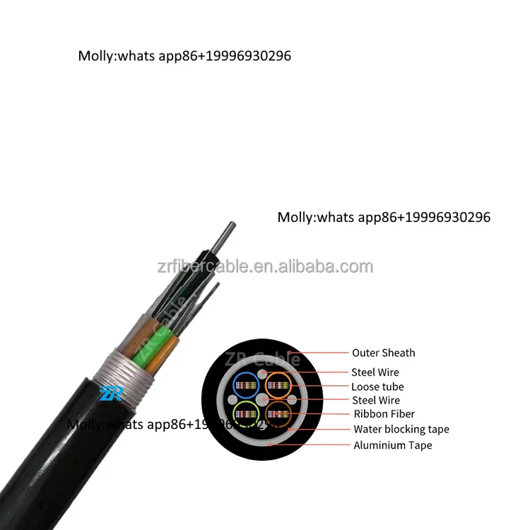 Outdoor Duct Direct Buried Aerial GYDTS 48 72 96 144 192 288 360 576 Core Fo Hilo F GYDTA Armored Ribbon Fiber Optic Cable