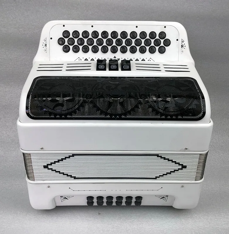 ROLK China Made 34 Keys 12 Bass Piano Accordion with Adjustable Straps Gig Bag Musical Instrument for Kids Beginners