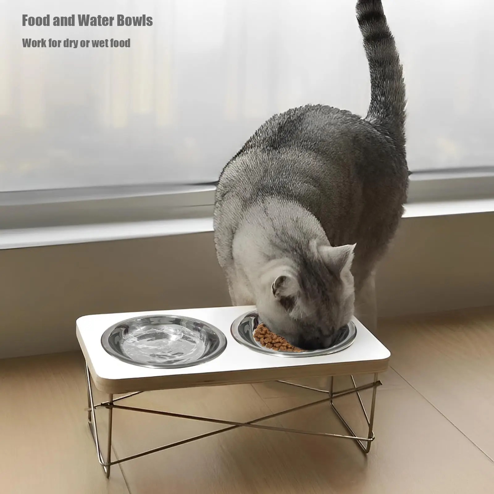 4 Pack Stainless Steel Cat Bowls 5.5 In Shallow Whisker Relief Dish for Sensitive Whiskers Dishwasher Safe Raised Feeder