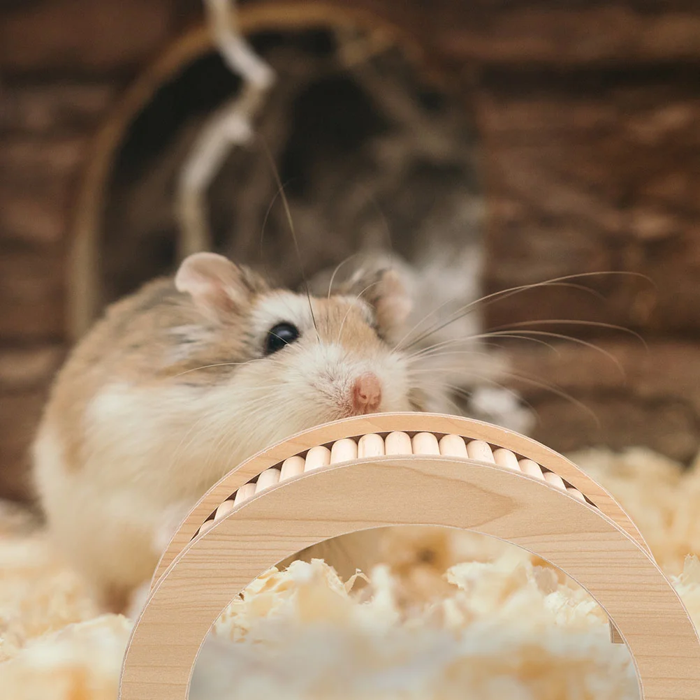 Hamster Speelgoed Brug Egel Houten Ladder Cavia Oprit Stuff Chinchilla Klimmen voor Kooi Decor Speelgoed