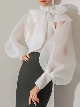 Elegantes Damen-Hemd mit Laternenärmeln, Chiffon, transparent, langärmelig, süß, mit Schnürung, gepunktet, lässig, modisch, Herbst-Hemden
