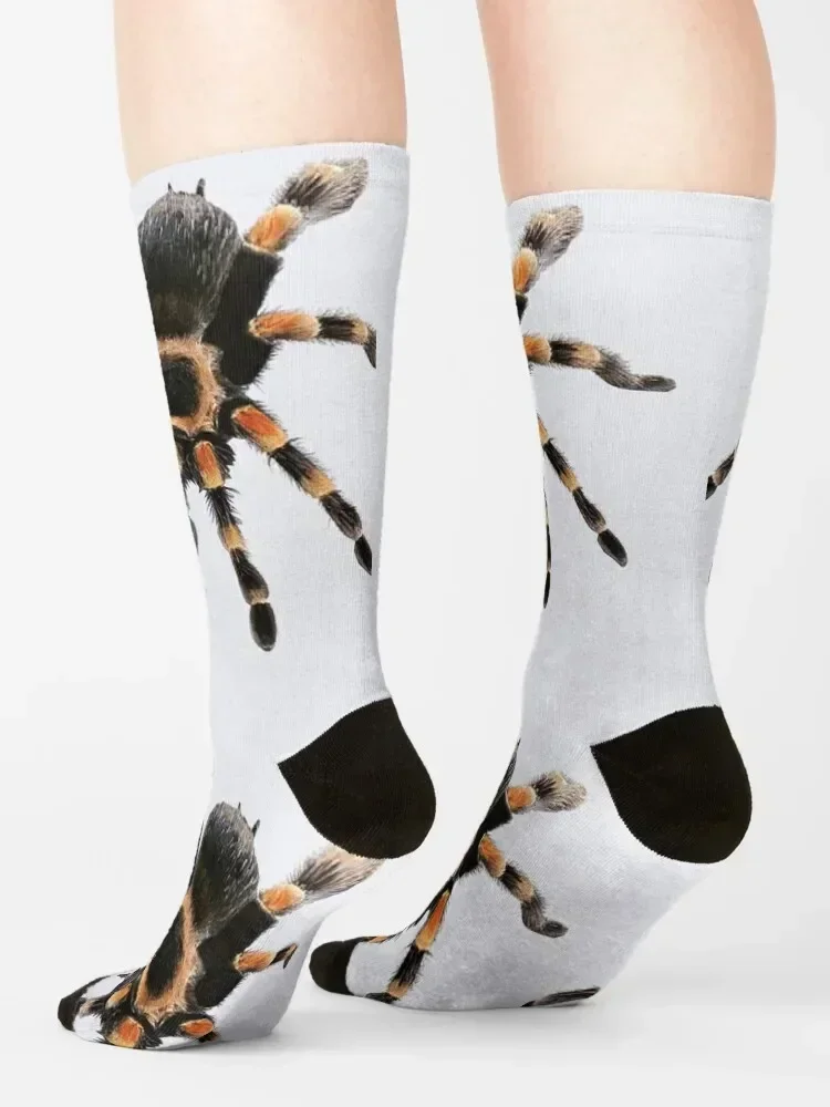 little spider, tarantula, spider Socks heated Running bright garter sports stockings Boy Child Socks Women's
