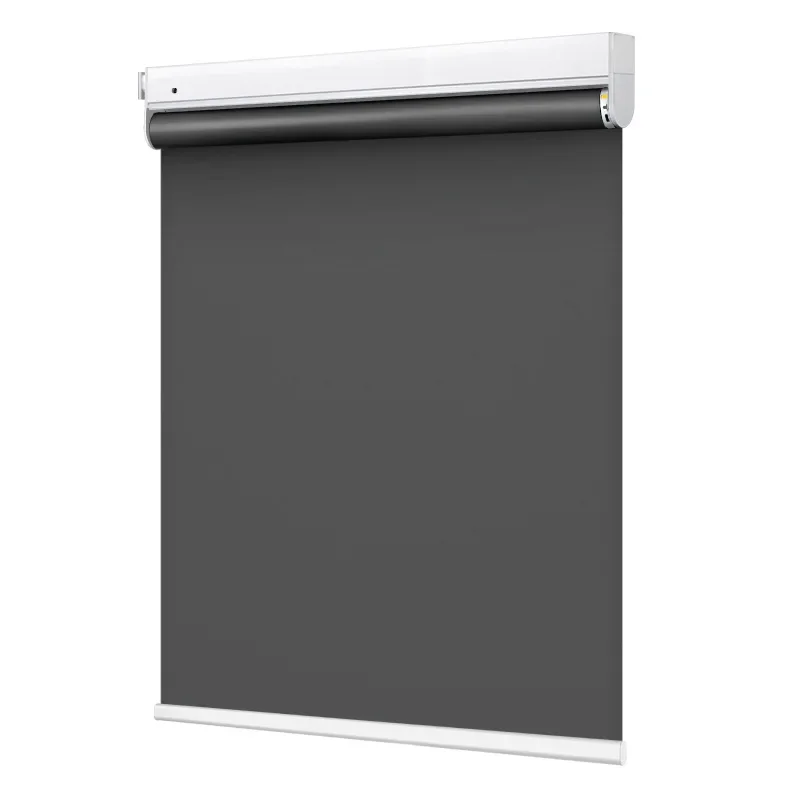 

White Automatic Remote Roller Blinds Electric Tubular Motor Control Curtains with Blackout Feature for Home Shades