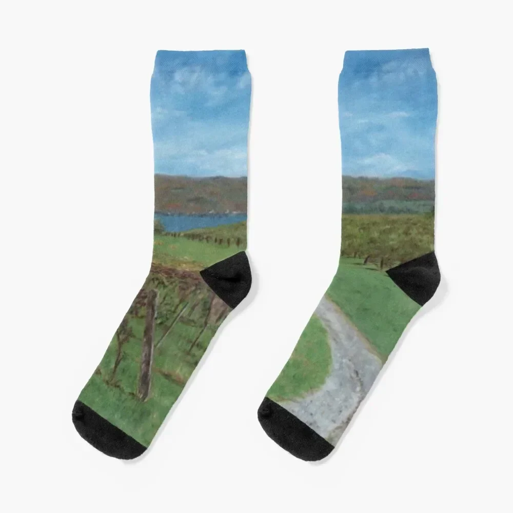 

Vineyard Overlooking Lake Socks valentine gift ideas sports stockings christmass gift Socks For Men Women's