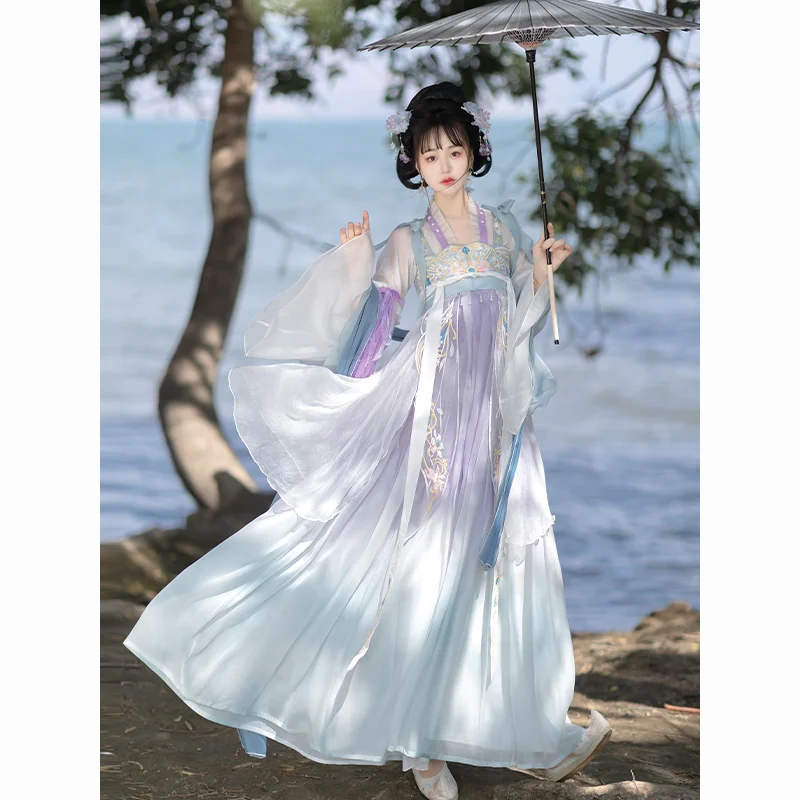 

Blue Hanfu traditional Chinese style women's skirt high quality embroidery printed Tang Dynasty summer daily clothes