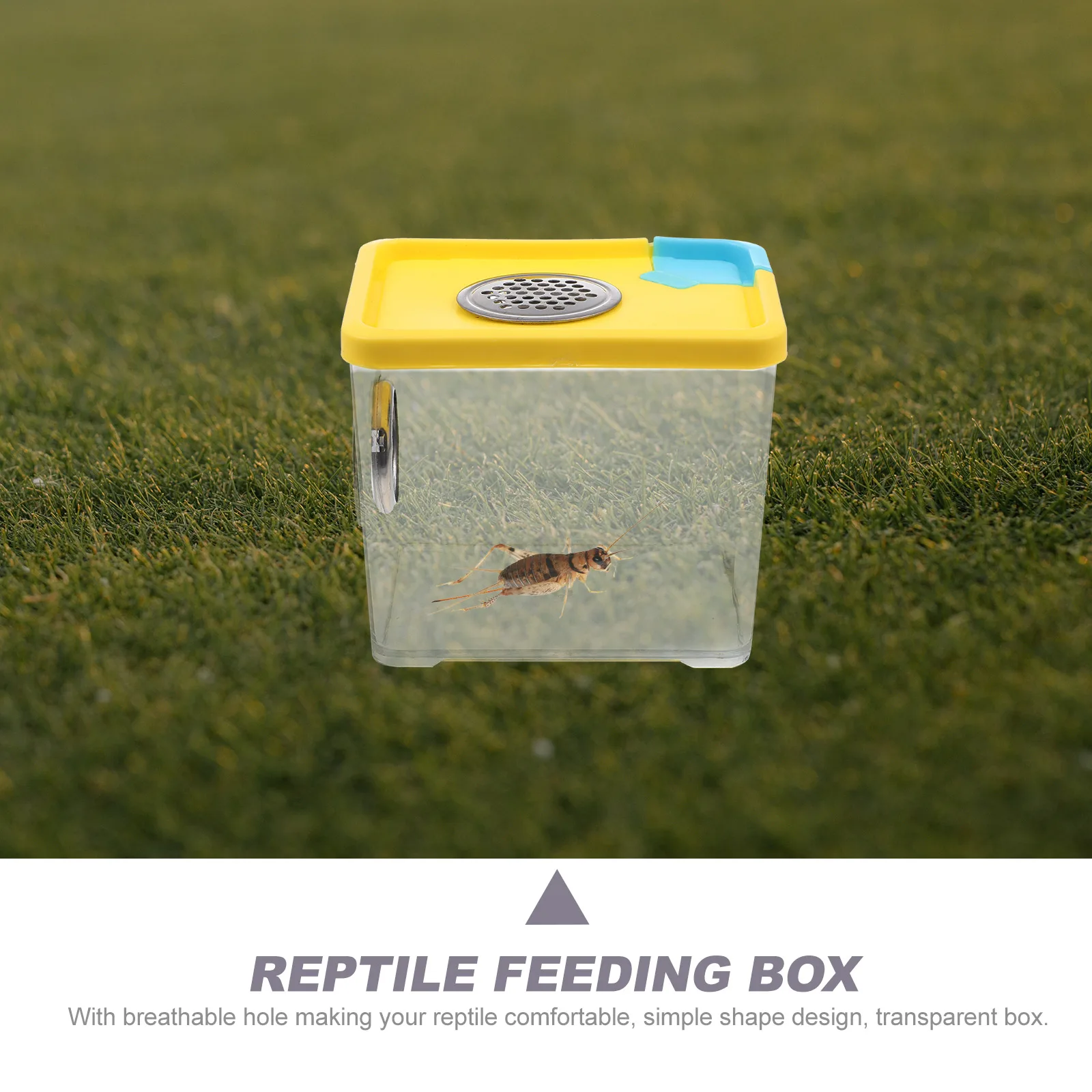 

Transparent Reptile Feeding Box Lightweight Compact For Spider Lizard Turtle Frog Breeding Pet Supply Container