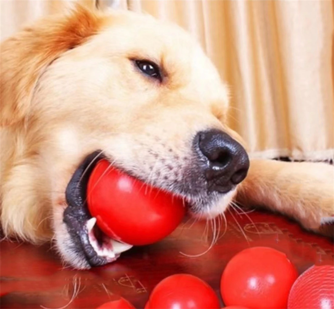 

Dog Toy Ball Training Interactive Bite-Resistant Rubber Ball Floating Solid Elastic Ball Teddy Small and Medium-Sized Dog Molars