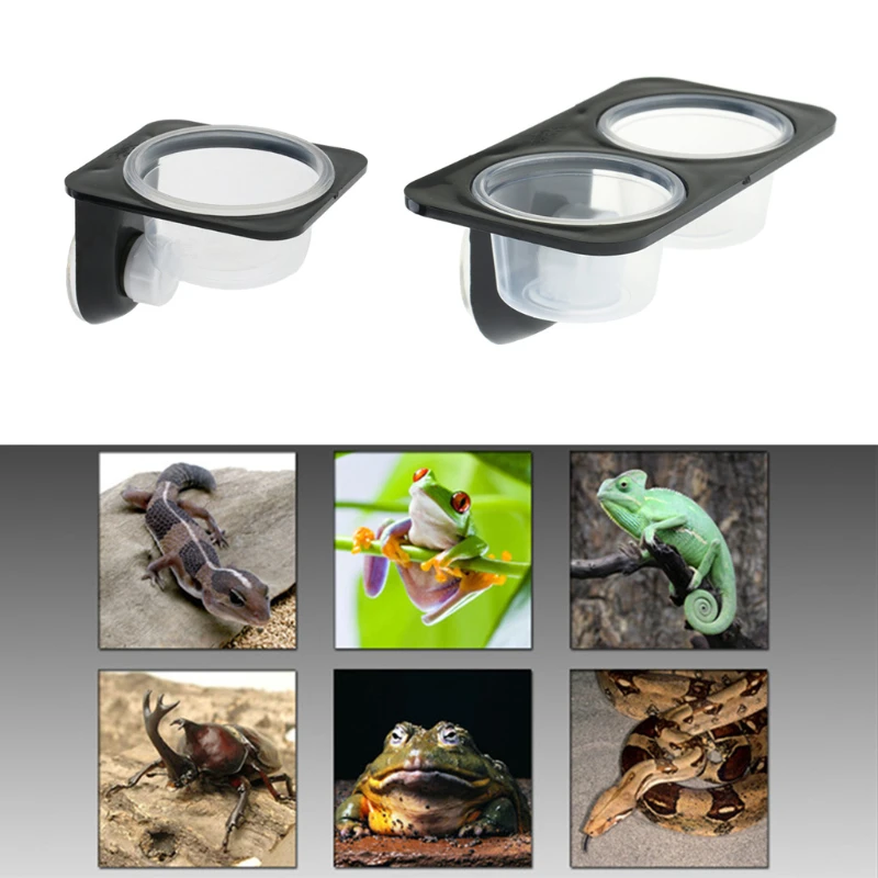 Reptiles & Amphibians Lizard Gecko Suction Cup Feed Bowls  Food  Container  with Bowl for Reptile Food and Water Feeding Reptile