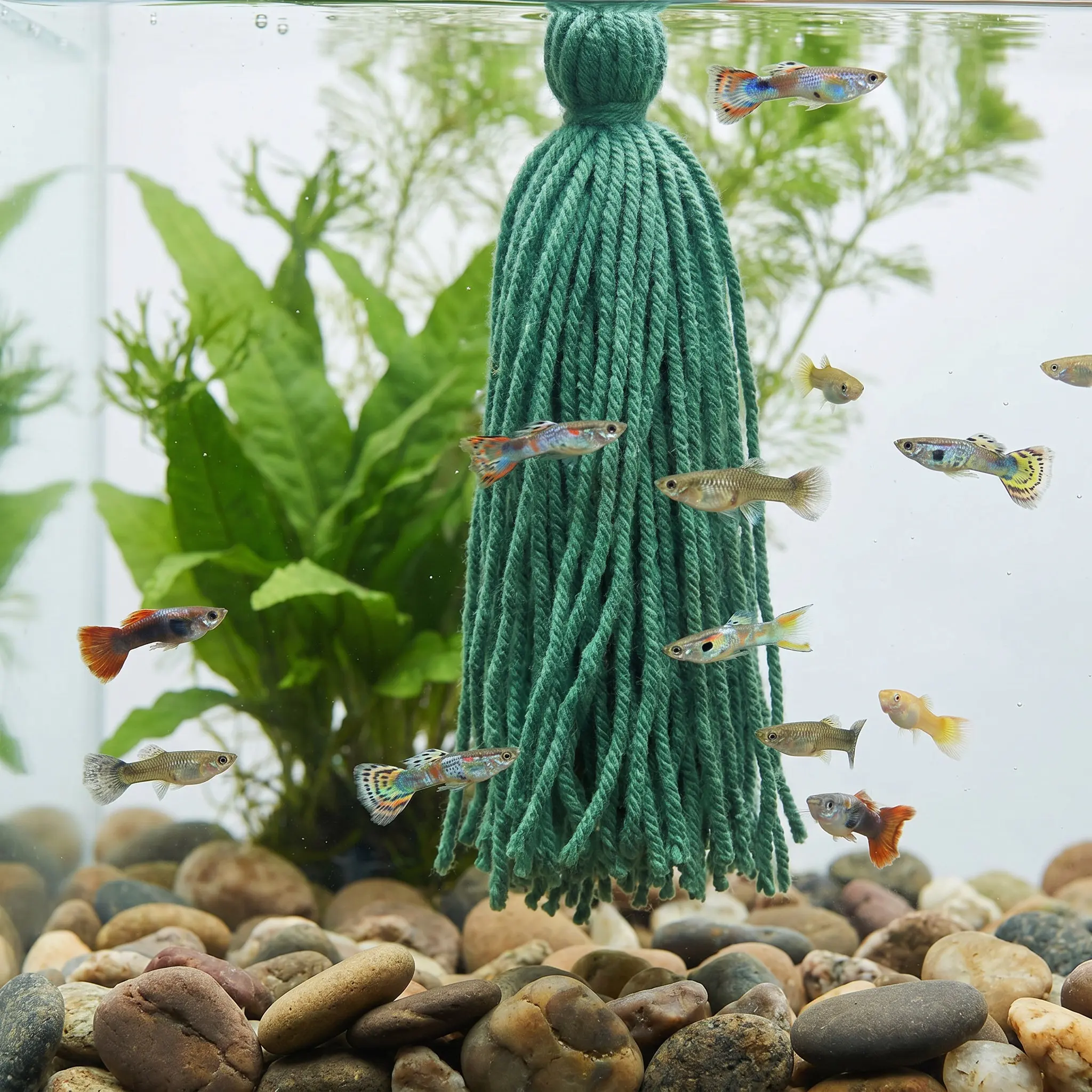 Aquarium Fish Hiding Spot - 10 peças de acessórios para reprodução