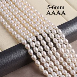 AAAA 5-6mm 100% High Quality Natural Freshwater Pearls Rice Spacer Beads for Jewelry Making DIY Necklace Bracelet Accessories