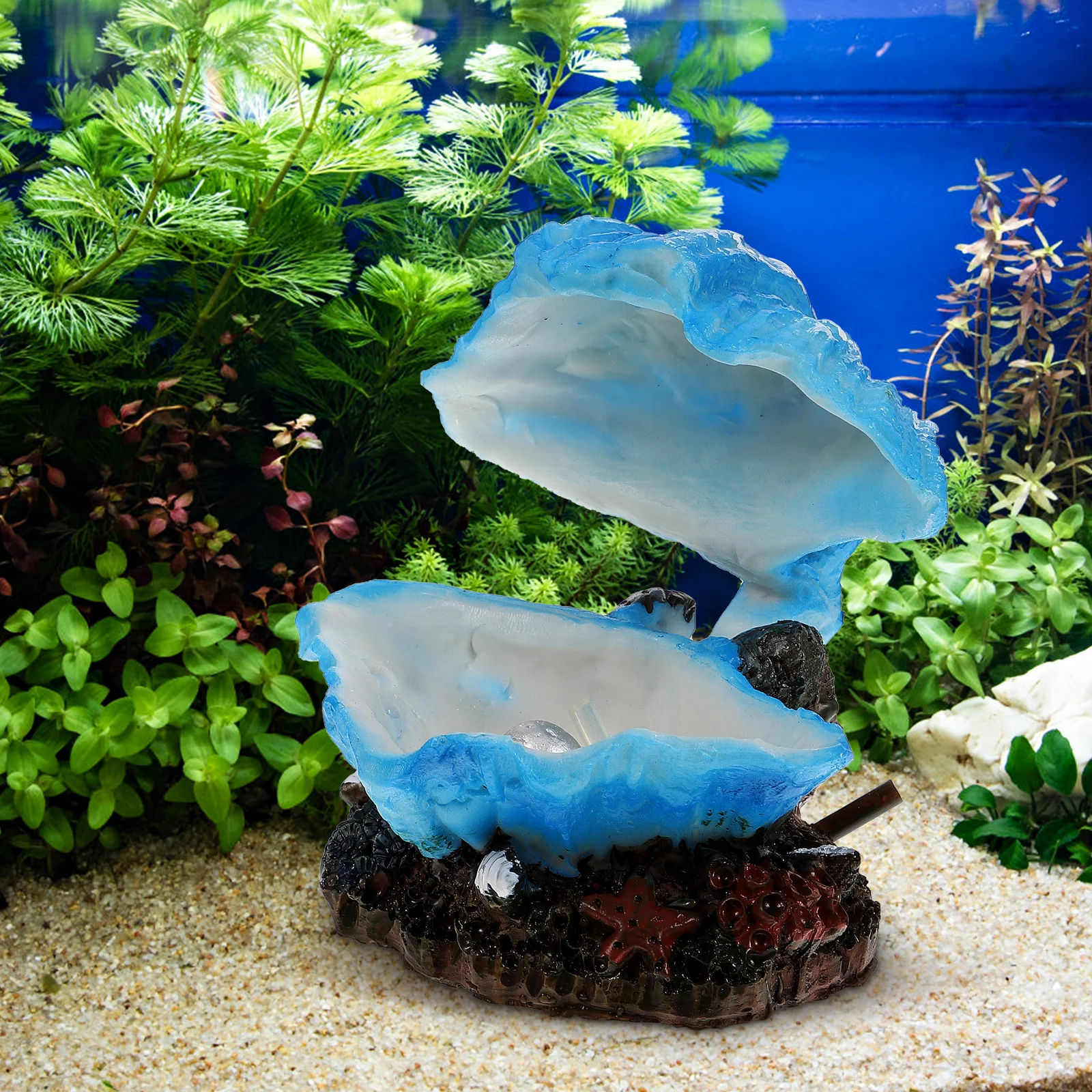 

1pcs Fish Fish Tank Shell Tank Decor Aquarium Durable Cartoon Ocean Supplies Sea Shells Pet Decor