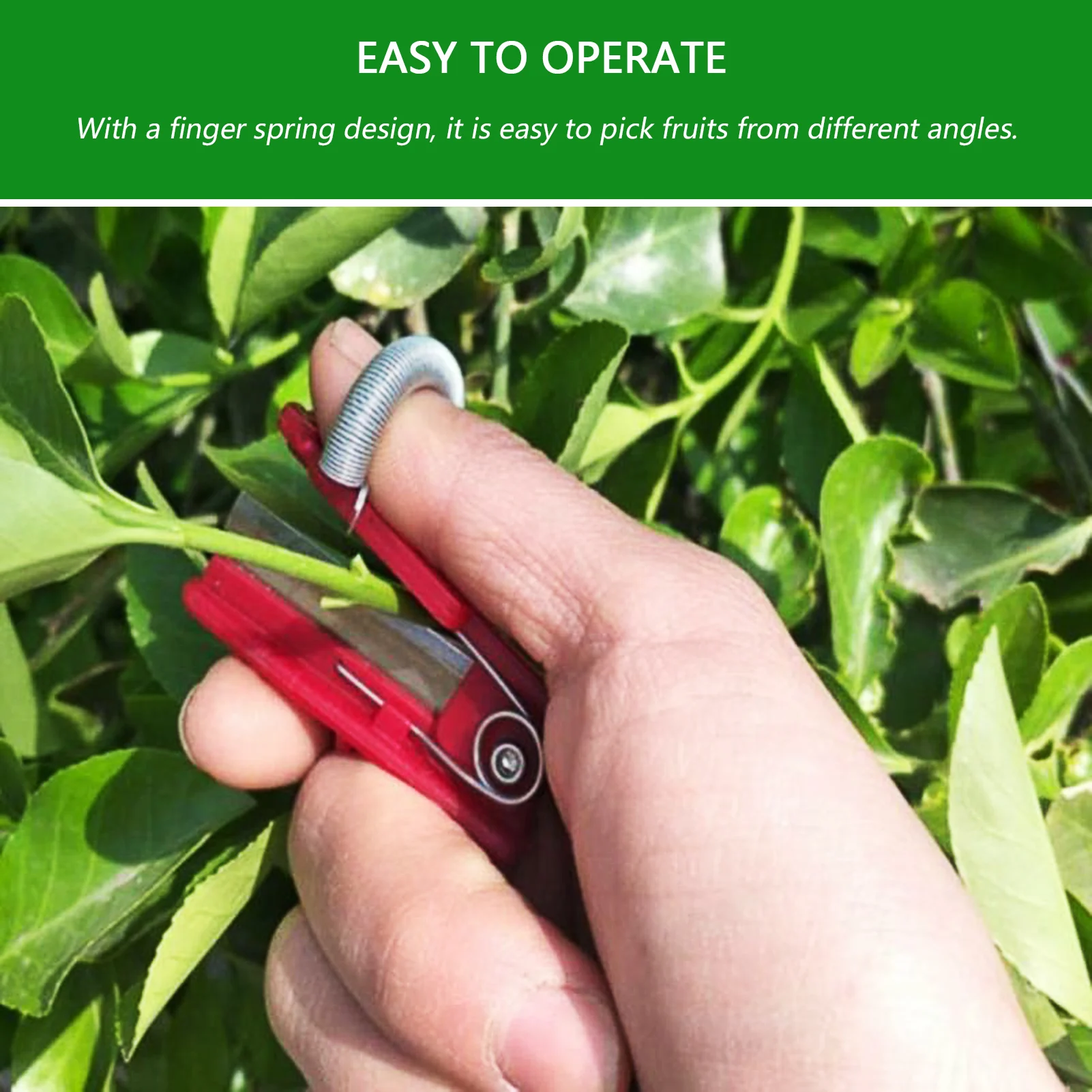 2pcs/set Gardening Harvesting Tool Fruit Picker Plants Trimmer Separator Mini Garden Pruner Stainless Steel Shears