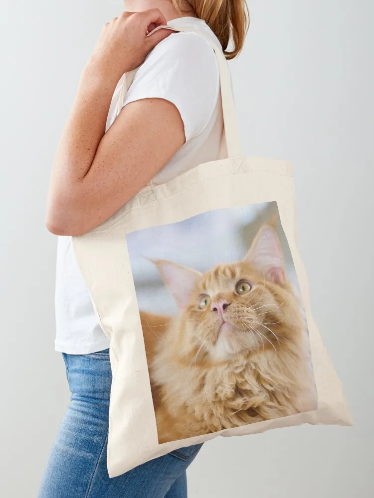 

Red-white tabby Maine Coon cat Tote Bag Cloth bag reusable shopping bag sac pour femme Women's shopper