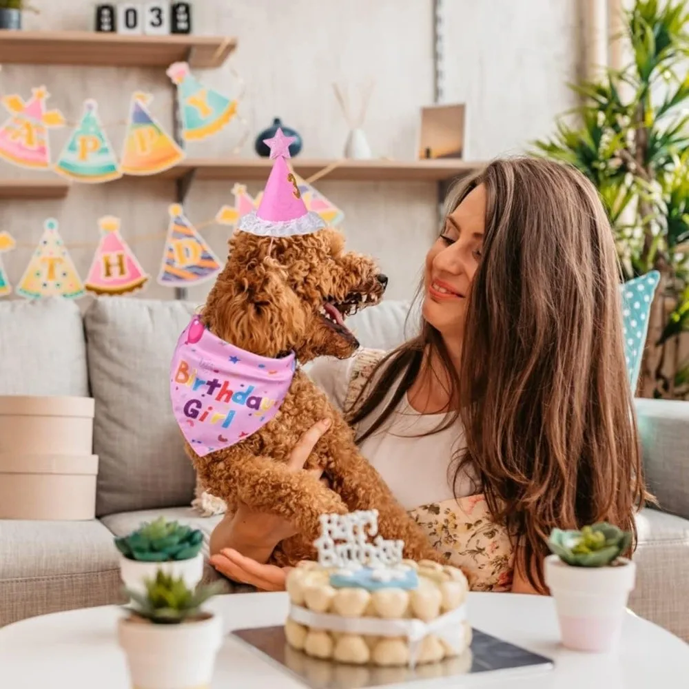 Ensemble de chapeaux d'anniversaire pour chien mignon, casquettes d'anniversaire pour animaux de compagnie à paillettes réglables colorées avec chiffres, nœud papillon, bavoir d'anniversaire pour chien, fête d'anniversaire pour animaux de compagnie