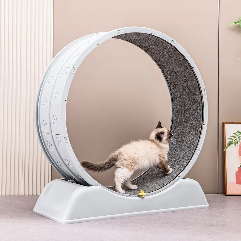 fabricant-en-gros-roue-de-course-stable-tapis-roulant-pour-chat-exercice-roue-de-course-pour-chat-tapis-roulant-amusant-jouets-interactifs-pour-animaux-de-compagnie